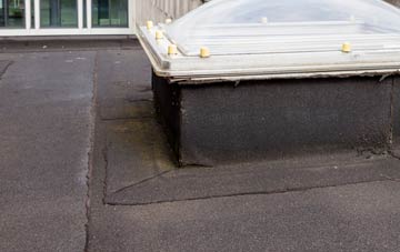 disadvantages of Low Alwinton flat roofs