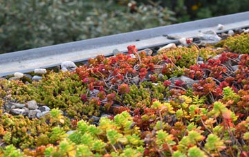 the cost of Low Alwinton green roof installation