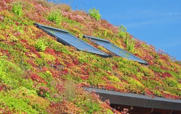 Low Alwinton living roof systems