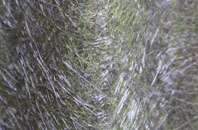 Low Alwinton fibreglass roof work